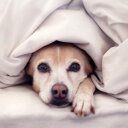 gerald manuel - @THEwed123wet - Twitter