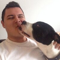 Matt Laking (@mattlaking) 's Twitter Profile