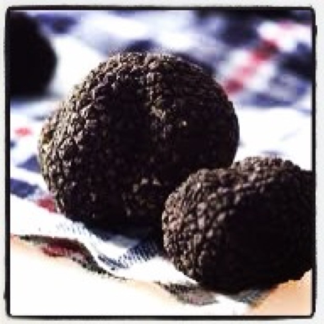 DentiDentici's profile picture. Amanda Dentici ••Midwest Area Manager Urbani Truffles ••amanda@urbani.com