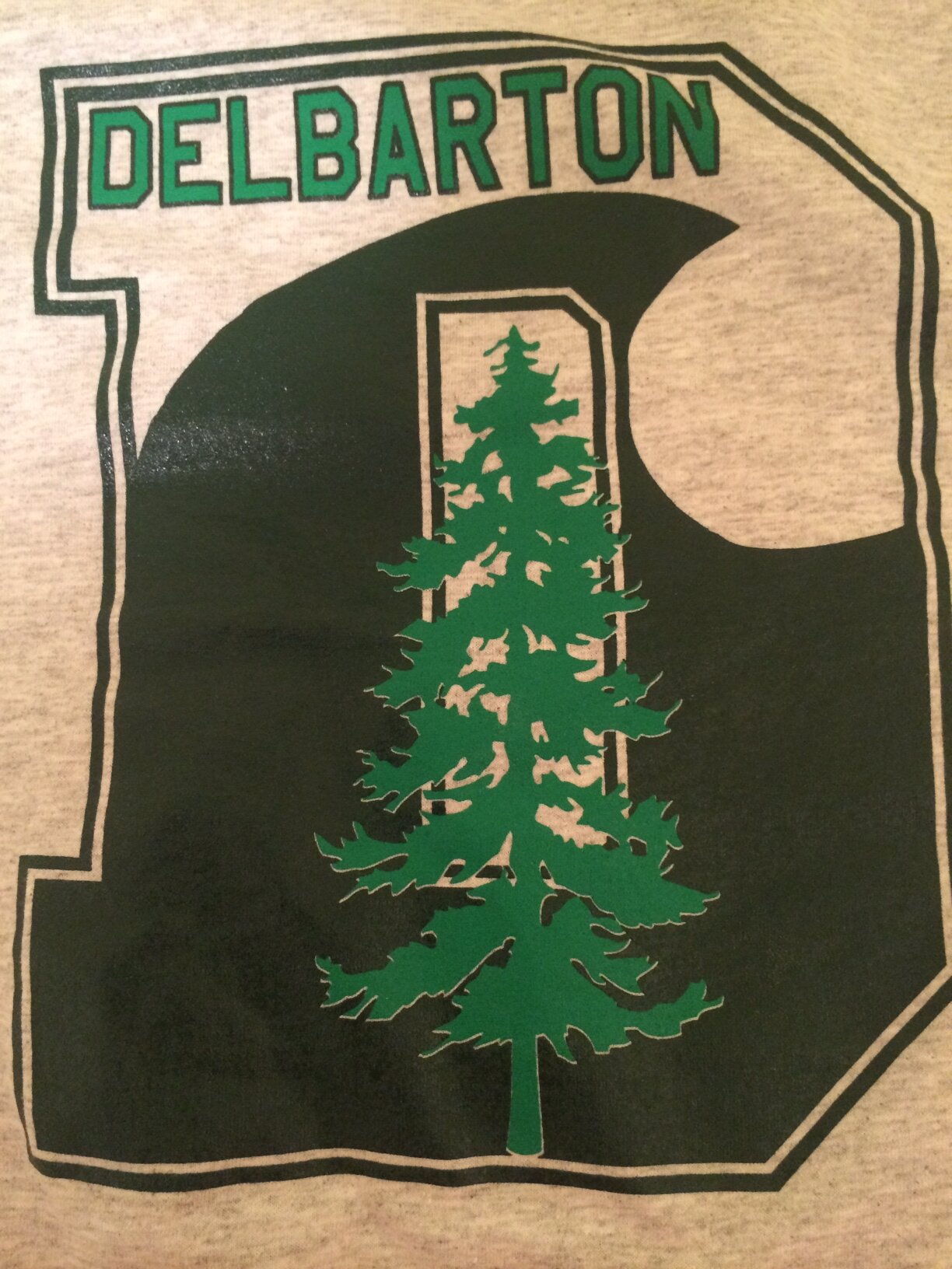 DelbySpiritWeek's profile picture. #SpiritWeek2014 It's Goin Down