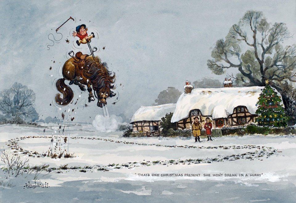 cdmcfarm's profile picture. Монгол Улаанбаатар