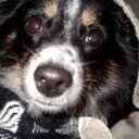 Jodi Daykin - @jodidaykin10 - Twitter