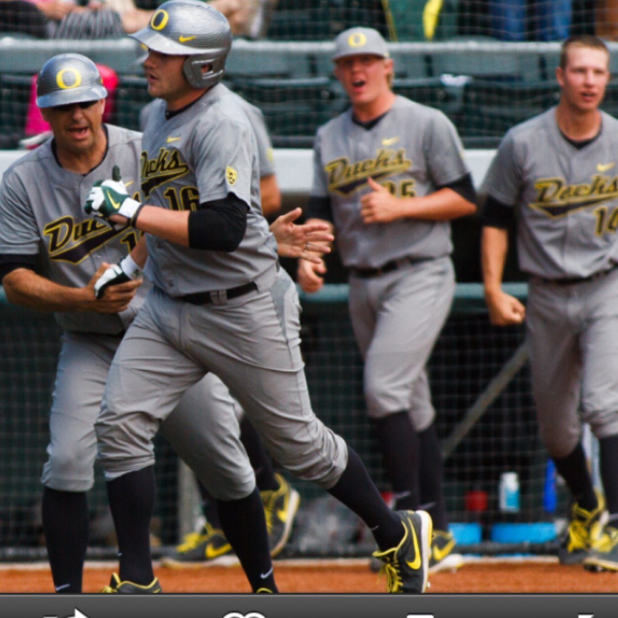 University of Oregon Baseball Alumni #16 from AZ! Living the dream #goducks