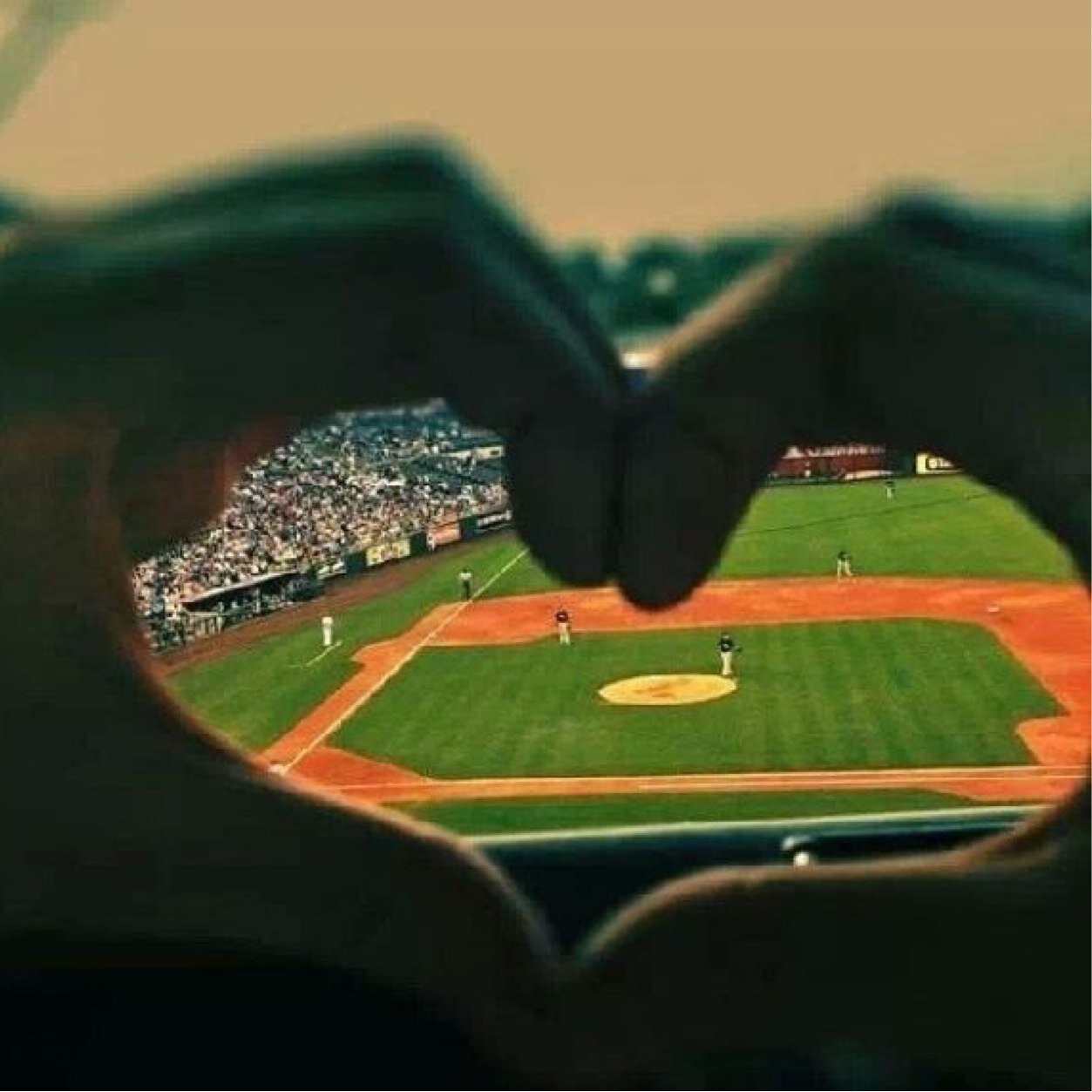 Bringing you all the gorgeous boys playing baseball.