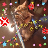 ぜろろく (@zerorock_06) Twitter profile photo