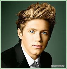 loves one direction, loves niall horan