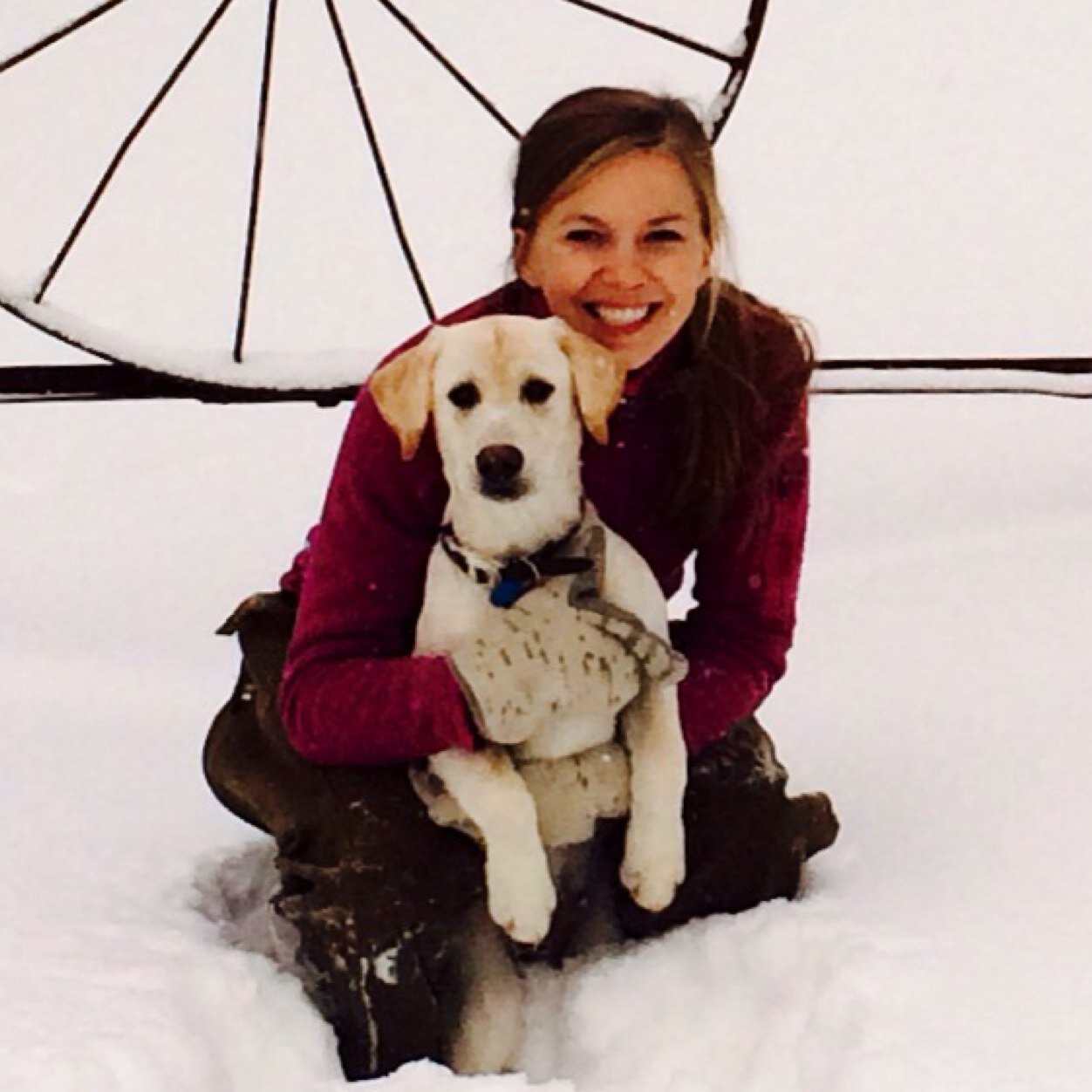 LarsLee515's profile picture. 