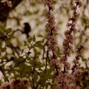 kathy inman - @IMTWEETERED - Twitter