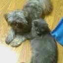 Jason Reel - @jreel220 - Twitter