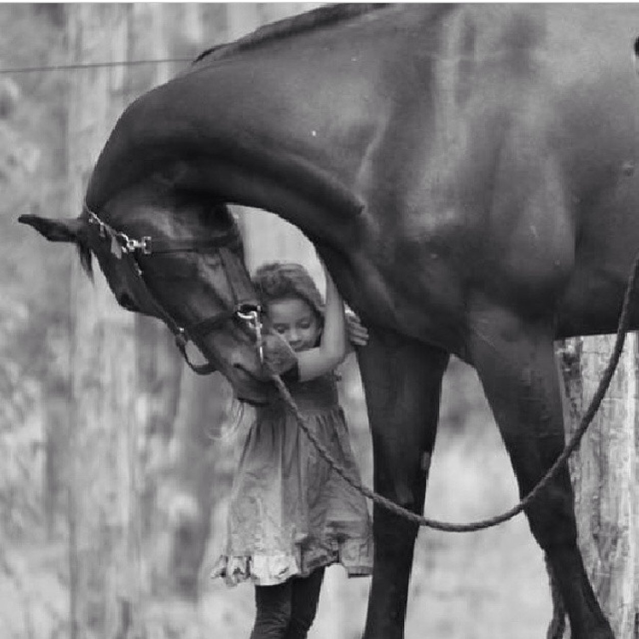 ragd110's profile picture. 