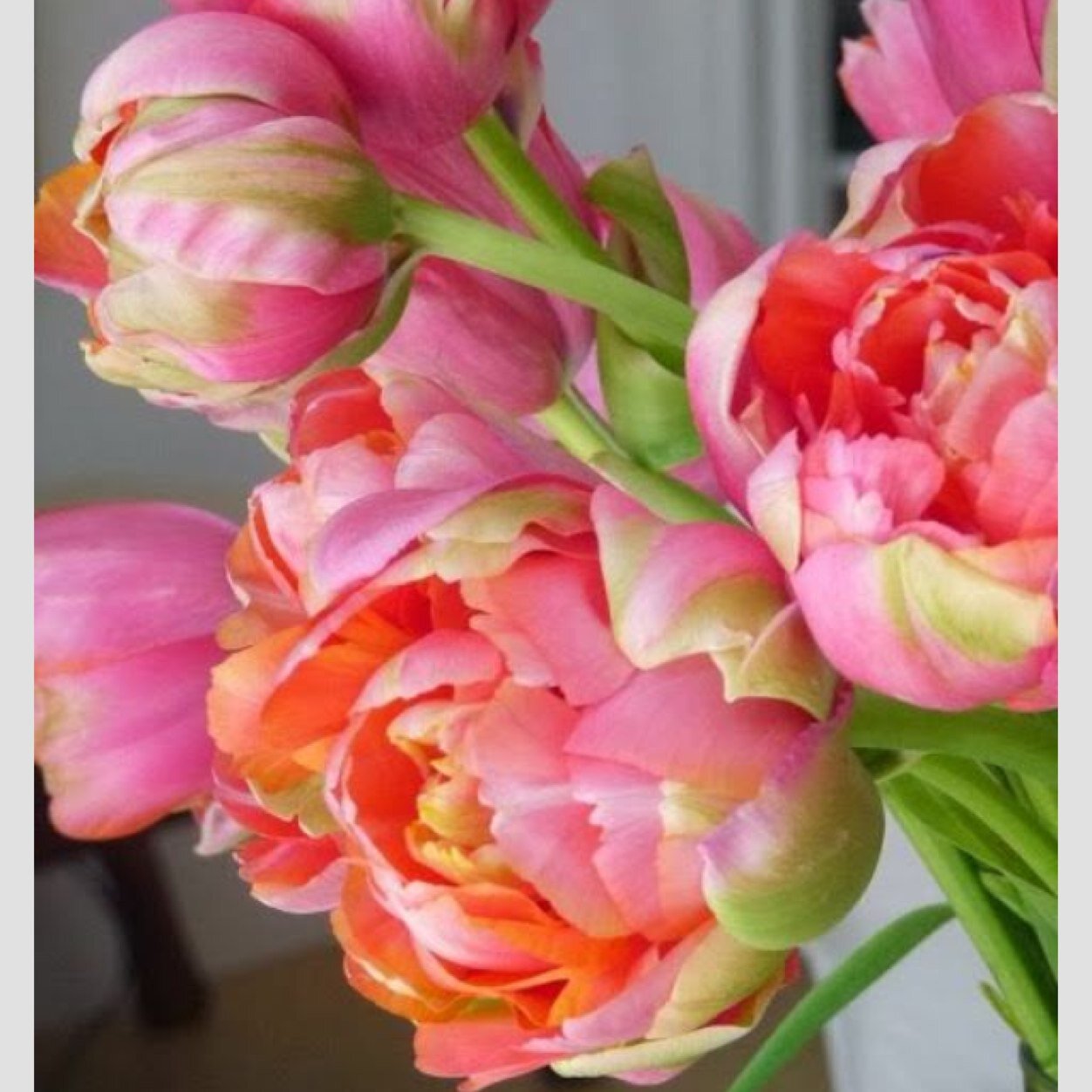 Bigmichek's profile picture. 