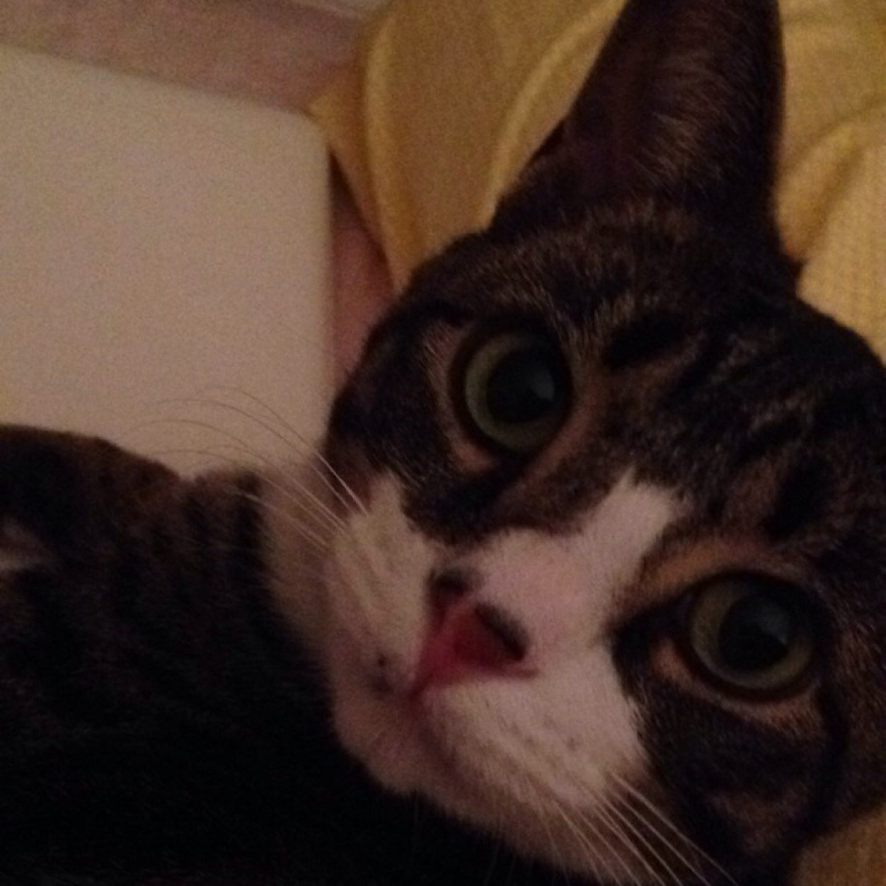 addybromberg's profile picture. 