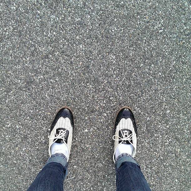 tayloronpaper's profile picture. 