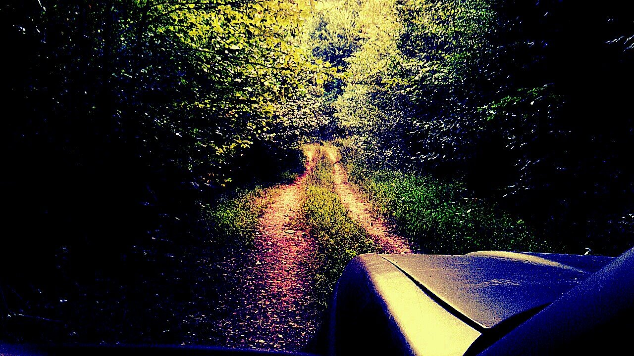 chensley88's profile picture. 