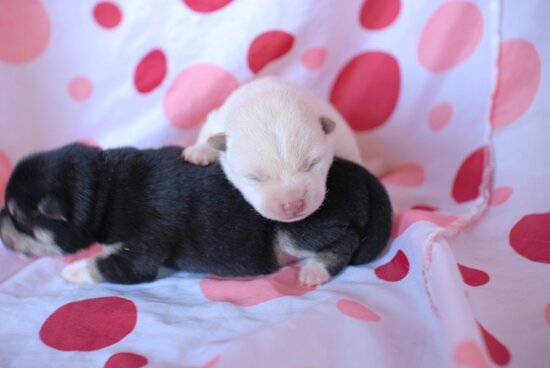 uartmsjamerily's profile picture. 