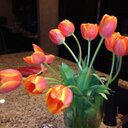 Sharon Ratcliff - @SharonRatcliff - Twitter