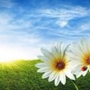 تغريدة إحساس (@00_z000) Twitter