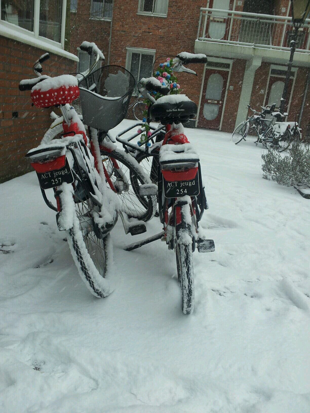 actjeugd's profile picture. Actieve ambulante behandeling (ACT) van jongeren die langdurig zorg nodig hebben.
Altrecht, specialist in geestelijke gezondheidszorg