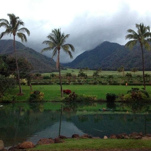 Certified Reiki Master, Maui Mobile Reiki Energy Spa. outcall & classes.