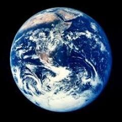 ProNetOrgs's profile picture. 