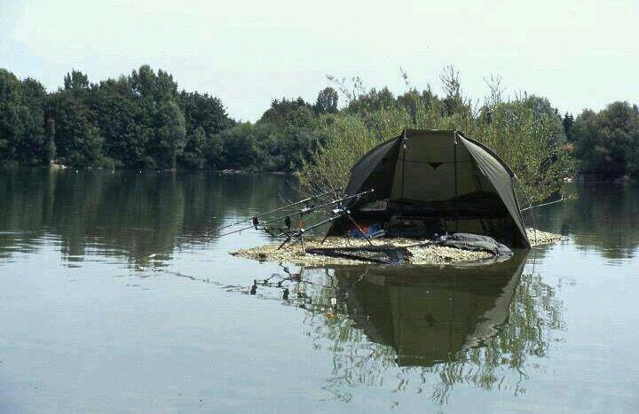 Steve70Berry's profile picture. 