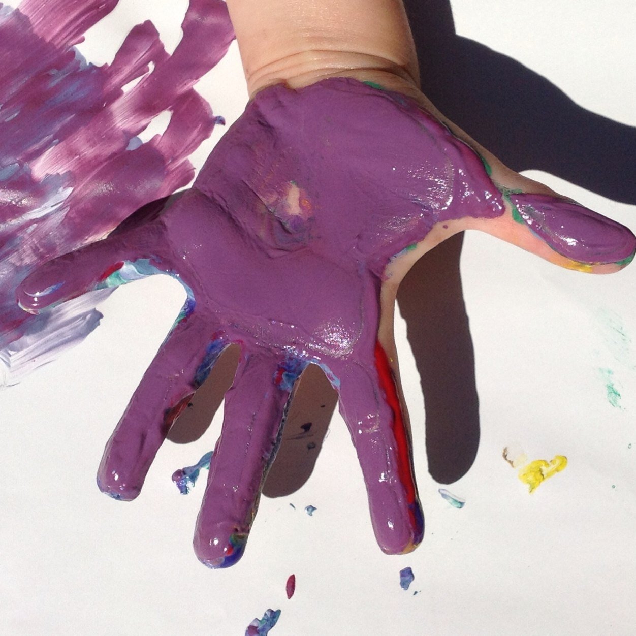 Islandgirlbravo's profile picture. 