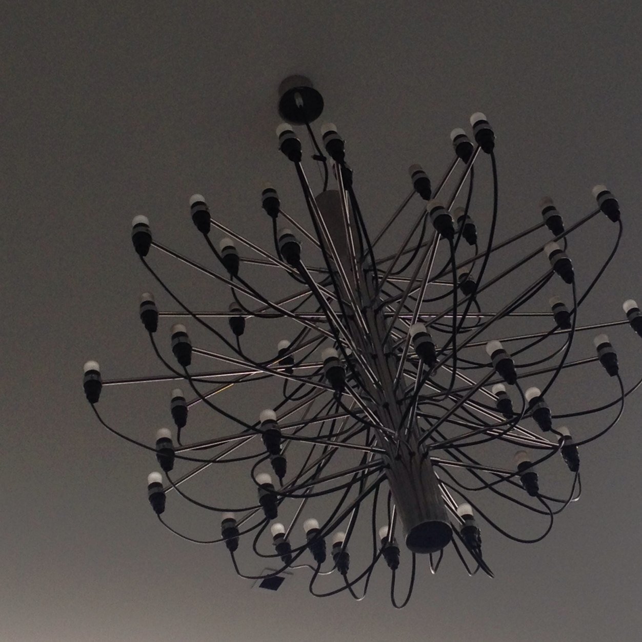 bestpedagogy's profile picture. 