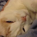 Helen Poon - @HelenPoon1 - Twitter