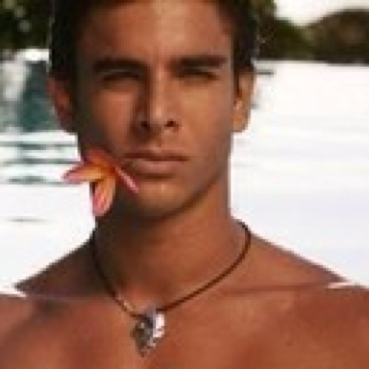 AdorableFurious's profile picture. 