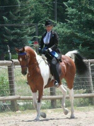 StaceyMcQuade's profile picture. Irish N8tive American Livin' the Dream