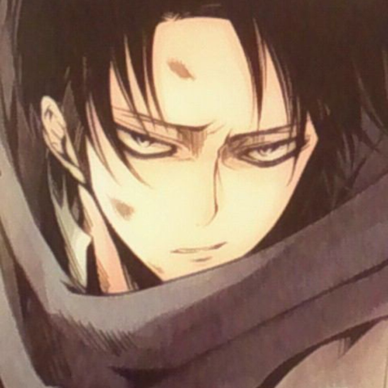 aot_hana's profile picture. 主に進撃用の垢!!兵長クラスタ/エレリ,リヴァエレ,エルリ,モゼリ/pixiv,MMD/成人済。見習いパティシエ。進撃クラスタさん気軽にフォローしてください！/ヘッダー:くらもいしさん