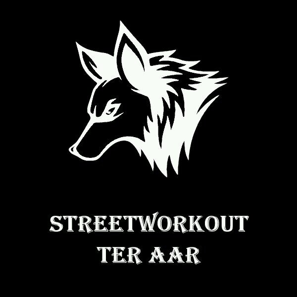 We are a dutch calisthenics sport team located in Ter Aar!
Outside fitness with our own body weight