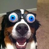 Gunner from Childhood, Easy go Lucky, Believes and lives SimpiCITY.