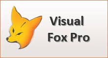 Panzer Technologies versatile, experienced FoxPro and FoxPro Programmer. Call (203) 652-7866.
