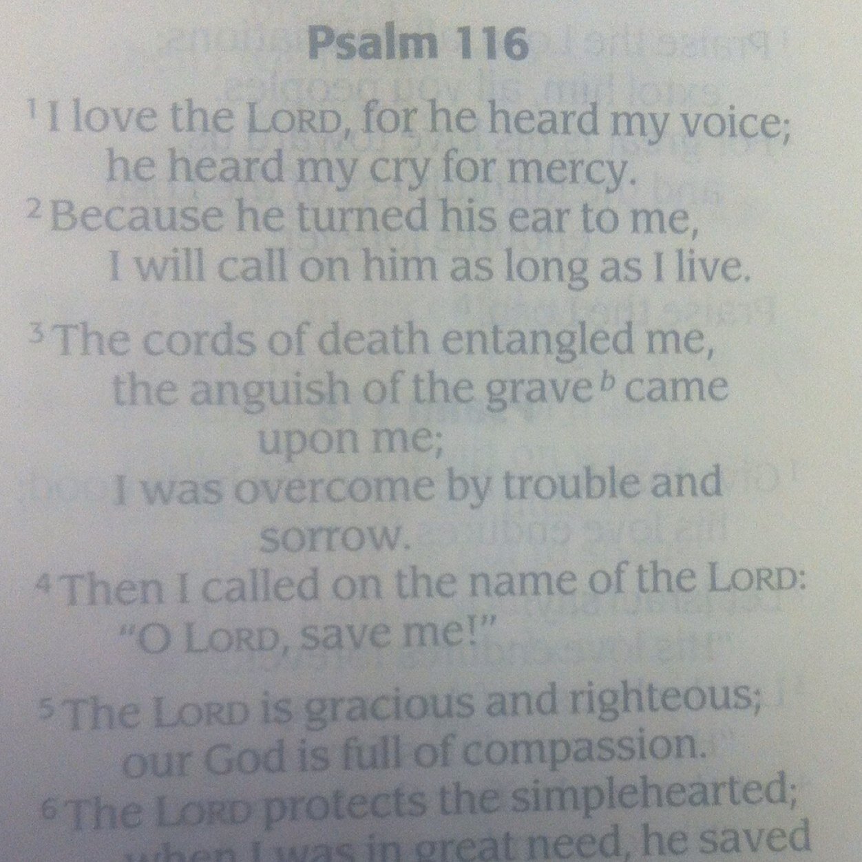 I pray these verses encourage you and guide you throughout your day