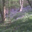 Ian Brannon - @Kinverian - Twitter