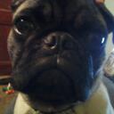 Mark Byrd - @byrd1467 - Twitter