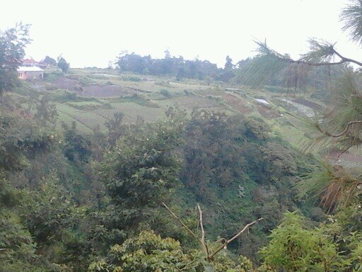 cah gendeng madiun