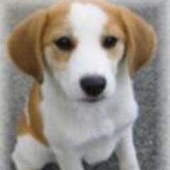 ツイッターは、普段、接点のない人とも交流できるのが良いところだと思います。ツイッターでいろんな方と、話してみたい(^o^)趣味/ニコ生/ユーチューブ/VOCALOID/イラスト/アニメ/バレーボール/映画etc...なんでも興味あります☆彡