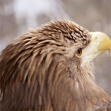 ittzan's profile picture. 投稿内容は私自身の見解であり、所属する組織とは何ら関係ありません。