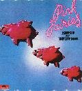 バンドでドラム担当。RIOTOTO(as RIOT V)、羅針盤(as Original) etc
BiSH/jizue/fox capture plan/EYRIE/The Bad Plus/Polyphia/Arch Echo/明日の叙景/