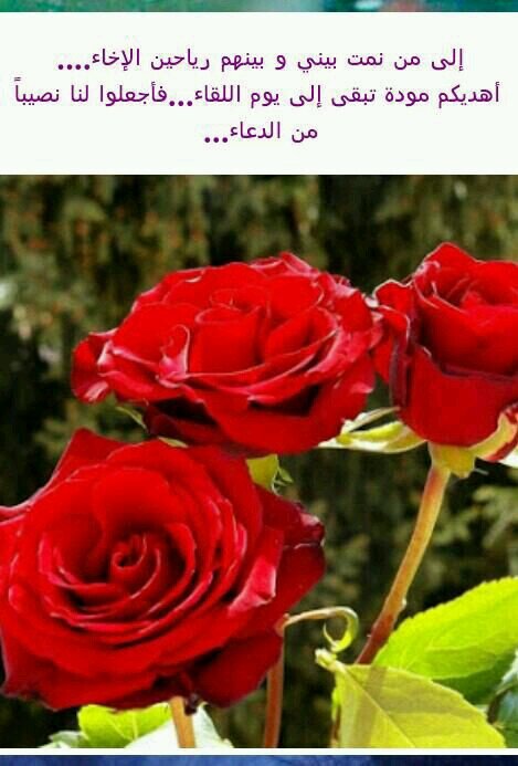 ‏‏‏رزقك المتأخر قد يكون أفضل بكثير من أرزاق بعضهم المتقدمة فلا تيأس انتظر من الله كل ما هو جميل وتفائل .