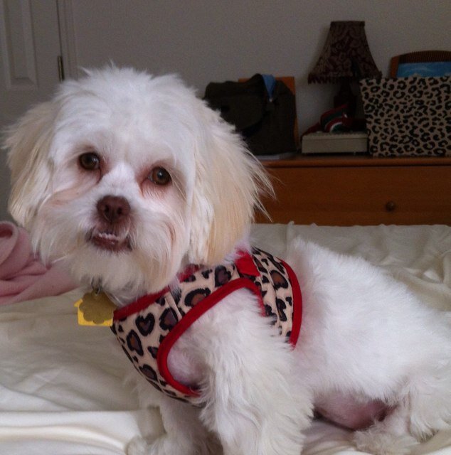 fifirasho's profile picture. 