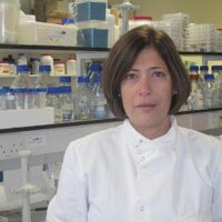 Cinzia Allegrucci (@cinzia_lab) 's Twitter Profile