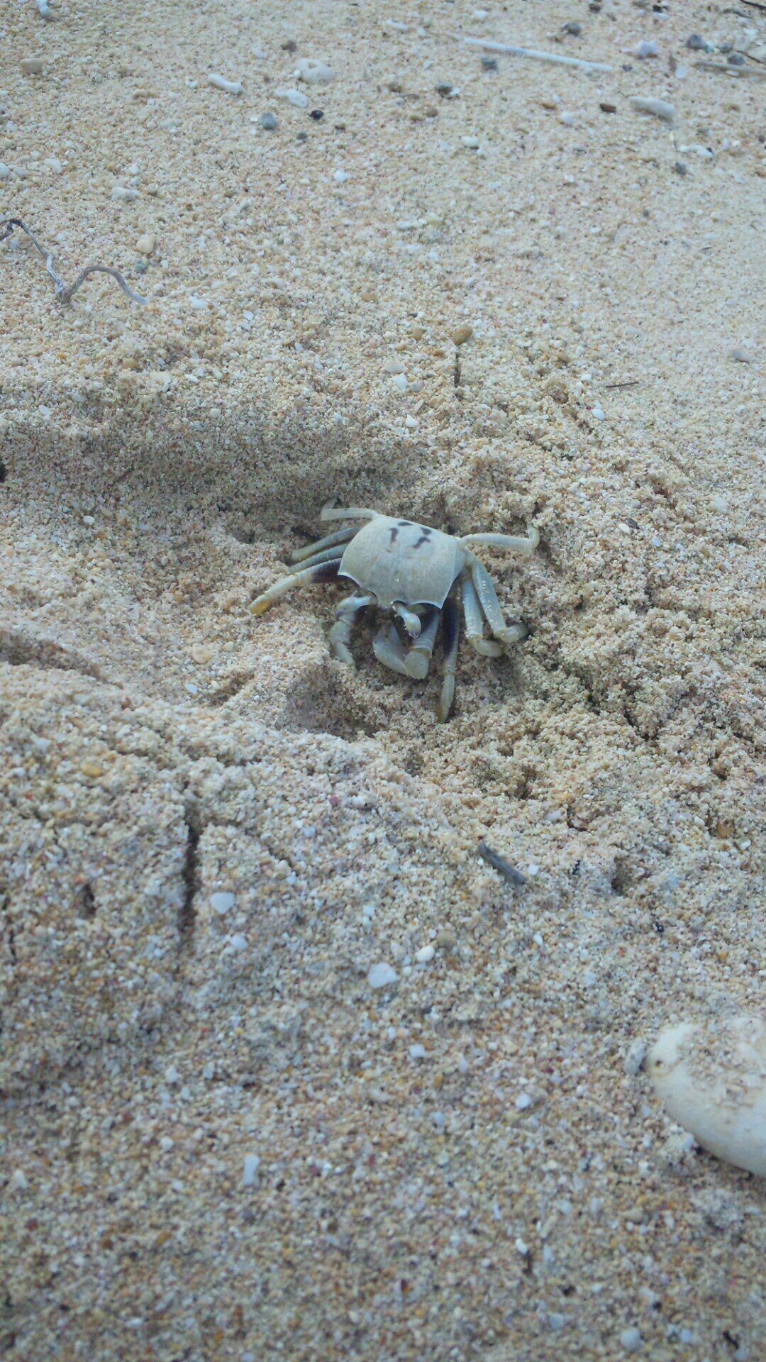よろしく～(^_^)　一応20歳男ですww