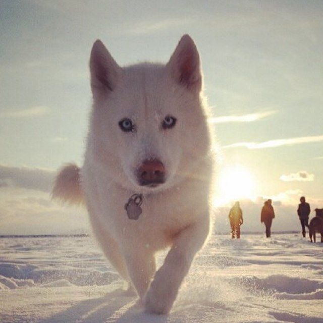 shoji922's profile picture. パンが好き