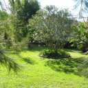 laura drozd - @matioshka - Twitter