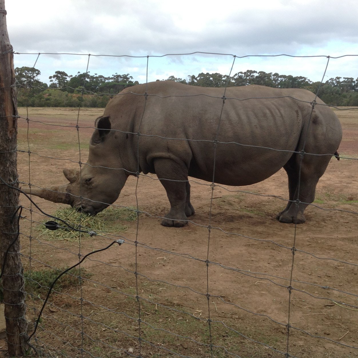 tarrant_i's profile picture. 