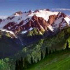 Кинодраматург, Автоэлектрик, Плотник, Искусственные цветы