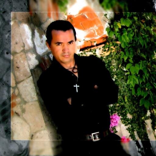 licenciado en sistemas de información, músico, todologo